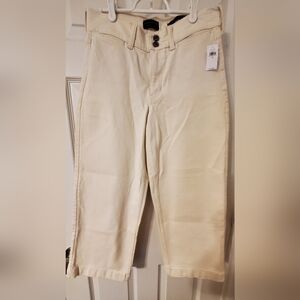 Banana Republic High-Rise Wide Leg Crop